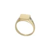 Bague chevalière Ellis en acier inoxydable doré