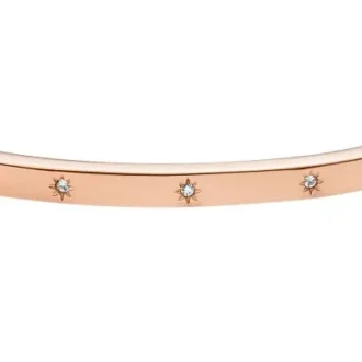 Bracelet rigide Sadie Shine Bright en acier inoxydable doré
