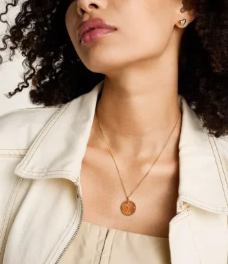 Collier avec pendentif en acier inoxydable doré et cornaline rouge du signe du Bélier Sutton Zodiac