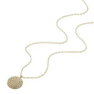 Collier à chaîne en acier inoxydable doré Ellis Glitz Disc