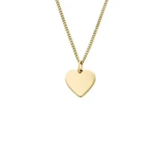 Collier Ellis Heart en acier inoxydable doré